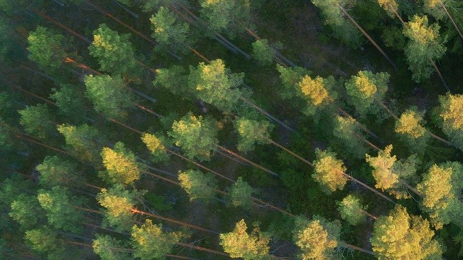 El nuevo Subaru Impreza RS 2024: un clásico con corazón moderno