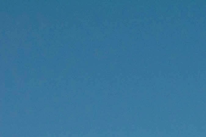 Descubre el nuevo look mate del Ford Mustang 2024