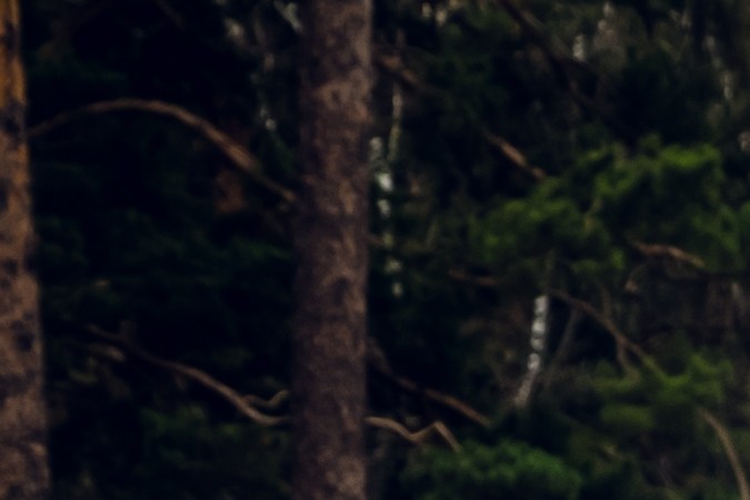 Los mejores SUV de 8 plazas en 2024