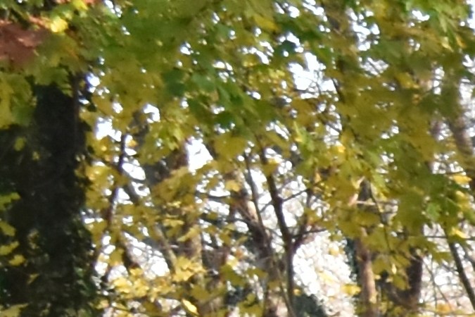 Mejores carros para comprar en USA en 2024, según Consumer Reports