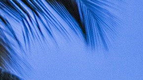 Adornos en el retrovisor te pueden costar una multa en Florida