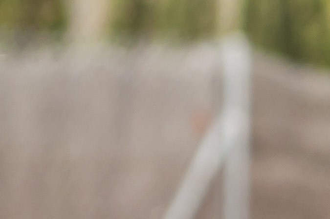 revocacion licencia en florida