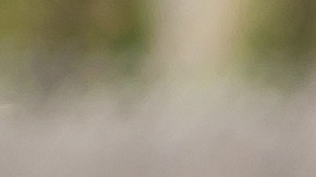 control de alcoholemia en florida