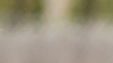 control de alcoholemia en florida