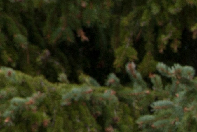 Requisitos para viajar a Canadá desde Estados Unidos por tierra