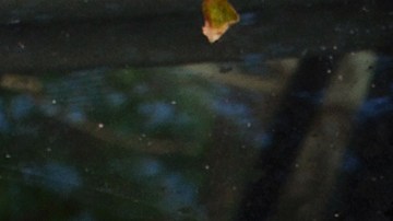 Consejos para eliminar la humedad del parabrisas