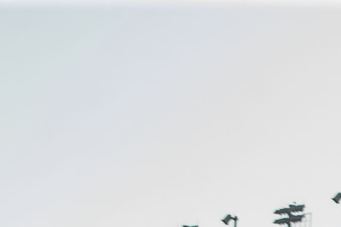 5 carreras de autos que puedes ver en USA en 2024