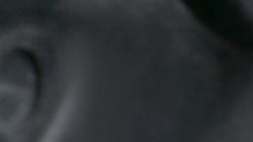 ¿Cuántas vueltas hace el árbol de levas en un motor de 4 tiempos?