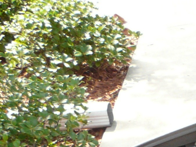 Aceite de la transmisión automática: a partir de cuándo debieras cambiarlo