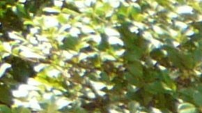 para que sirve el Aceite de la transmisión automática: a partir de cuándo debieras cambiarlo