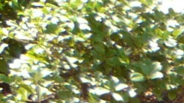 para que sirve el Aceite de la transmisión automática: a partir de cuándo debieras cambiarlo