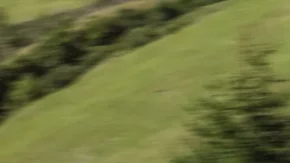 Mercedes-AMG E 53 HYBRID