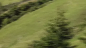 Mercedes-AMG E 53 HYBRID