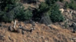 Kia Sorento X - Pro 2024: hecha para viajes con terrenos más extremos