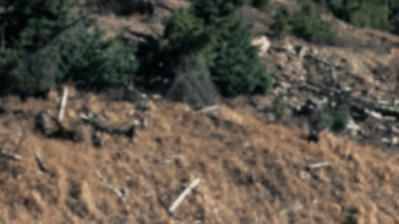 Kia Sorento X - Pro 2024: hecha para viajes con terrenos más extremos