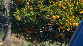 Volkswagen ID.Buzz GTX llegará a Estados Unidos este año