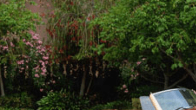 Esculturas sobre ruedas: autos hechos de madera