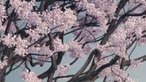 Más de 8 mil horas tardó Rolls Royce para elaborar este Droptail Arcadia