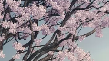 Más de 8 mil horas tardó Rolls Royce para elaborar este Droptail Arcadia