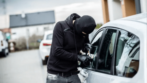 ¿Cuál es el estado con mayor cantidad de robos de autos en USA?