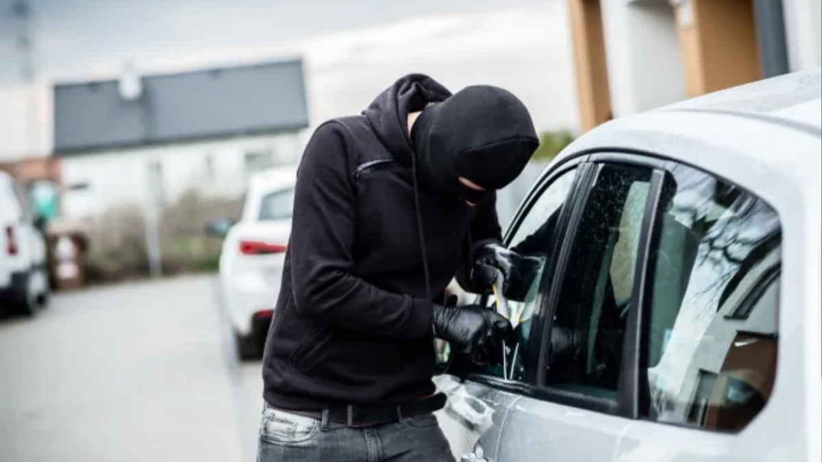 ¿Cuál es el estado con mayor cantidad de robos de autos en USA?