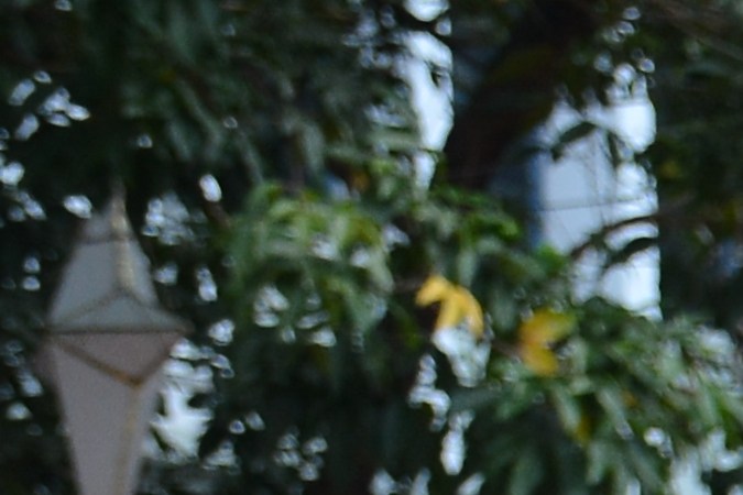 Subaru Impreza WRX: El guerrero sedán japonés