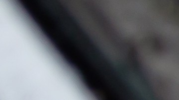 placa temporal en texas