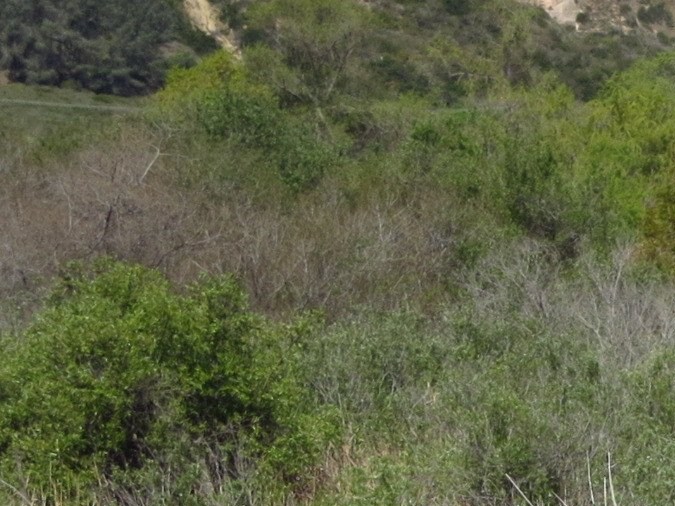 Los 10 carros más emblemáticos que diseñó Marcello Gandini