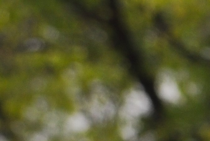 10 autos icónicos de la década de los 70