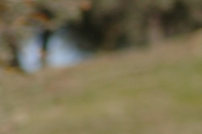 Famosos apodos de carros en el mundo