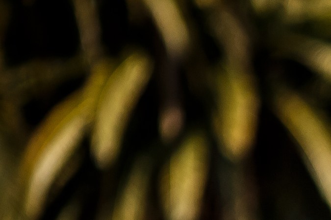 Cuáles son las cuatro principales leyes de velocidad en California