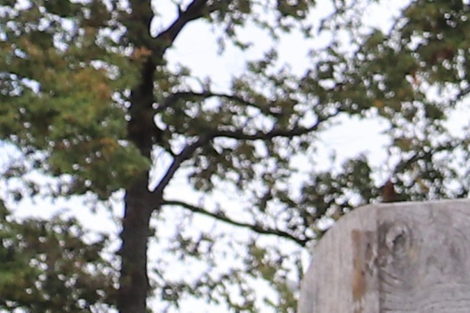 Los 10 carros más emblemáticos que diseñó Marcello Gandini