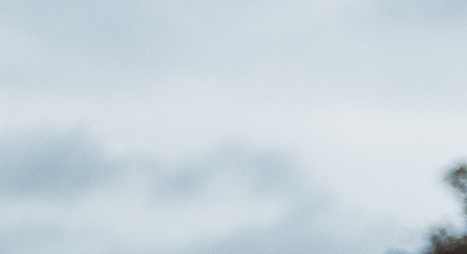 50 años de uno de los autos más vendidos del mundo: Volkswagen Golf