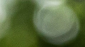 Descubre el truco de dos ingredientes para el plástico del carro