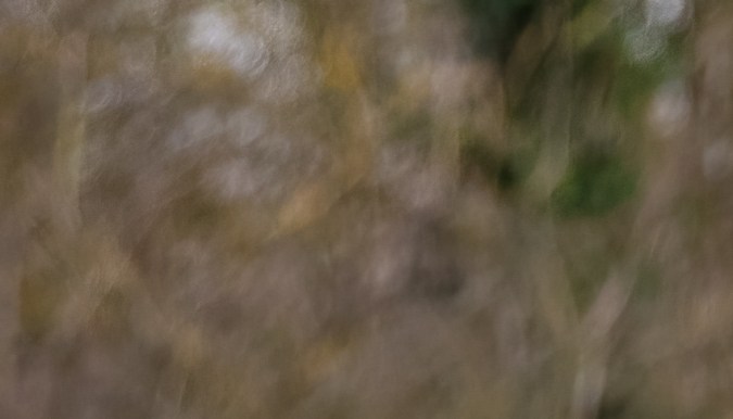 50 años de uno de los autos más vendidos del mundo: Volkswagen Golf