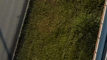 Cómo llevar tu carro a otro estado sin complicaciones en USA