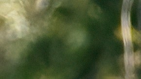 50 años de uno de los autos más vendidos del mundo: Volkswagen Golf