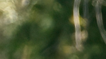 50 años de uno de los autos más vendidos del mundo: Volkswagen Golf