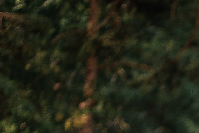 El top 10 de las marcas de autos más valiosas en 2024