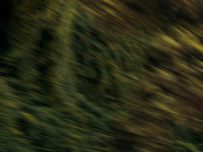 Chevrolet Corvette: un ícono que se mantiene en producción en Estados Unidos