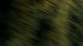 Chevrolet Corvette: un ícono que se mantiene en producción en Estados Unidos