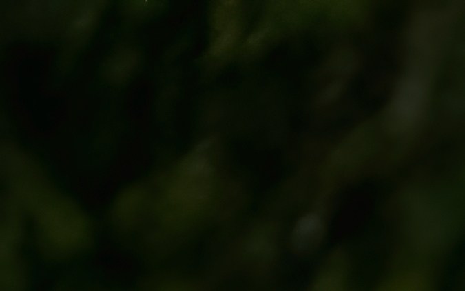 50 años de uno de los autos más vendidos del mundo: Volkswagen Golf