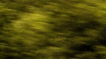 Subaru Impreza WRX: El guerrero sedán japonés