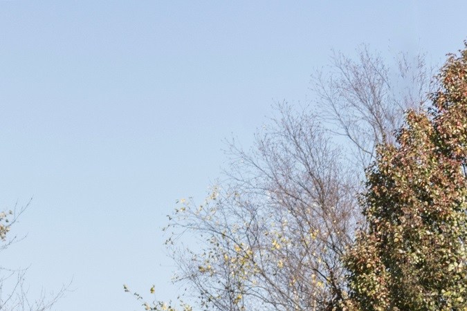 Estas son las mejores camionetas para 8 pasajeros de 2024