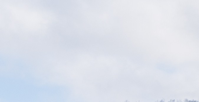 placas temporales en Pennsylvania