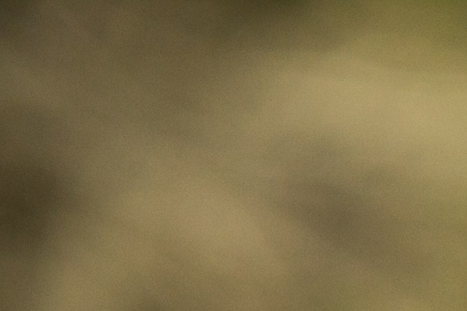 Si cometes una infracción mientras viajas fuera del estado, tu estado de origen aún puede emprender acciones contra ti.