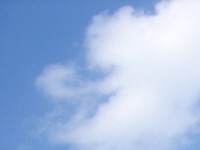 escuelas de manejo en los angeles