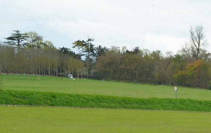 10 autos deportivos icónicos de los años 80