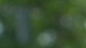 Cuántos son los decibeles de ruido permitidos en un auto