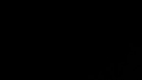 Qué es mejor transmisión secuencial o automática